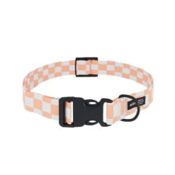 Collier pet recyclé xxs - orange