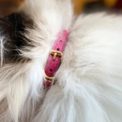 Collier pour chat lynx lynx by maurice en cuir grainé - taille 1 - rose