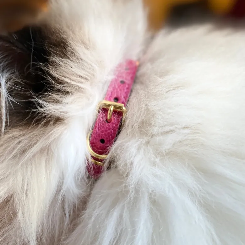 Collier pour chat lynx lynx by maurice en cuir grainé - taille 1 - rose