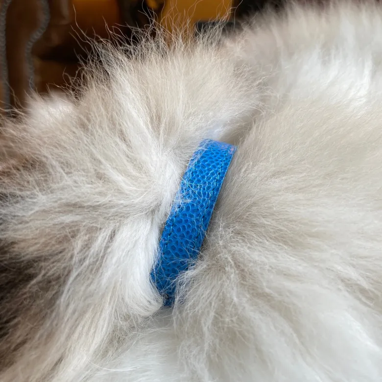 Collier pour chat lynx lynx by maurice en cuir grainé - taille 3 - bleu