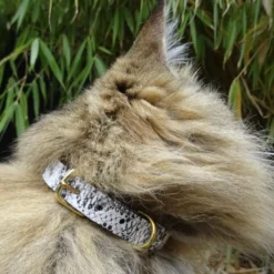 Collier pour chat panthera pardus by maurice en cuir - taille 1 - python