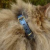 Collier pour chat panthera pardus by maurice en cuir - taille 1 - bleu