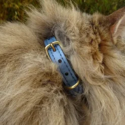 Collier pour chat panthera pardus by maurice en cuir - taille 1 - bleu