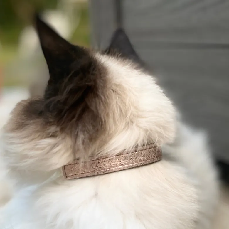 Collier pour chat panthera pardus by maurice en cuir - taille 2 - rose