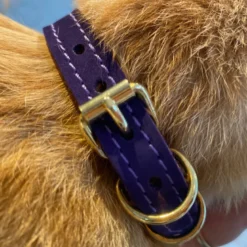 Collier pour chat panthera uncia by maurice en nnubuck - taille 1 - violet