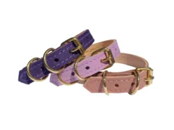 Collier pour chat panthera uncia by maurice en nnubuck - taille 1 - violet