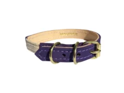 Collier pour chat panthera uncia by maurice en nubuck - taille 3 - violet