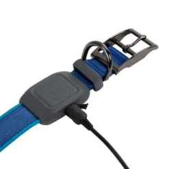Collier pour chien lumineux rechargeable