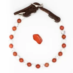 Collier stabilité – pour chien agité - s