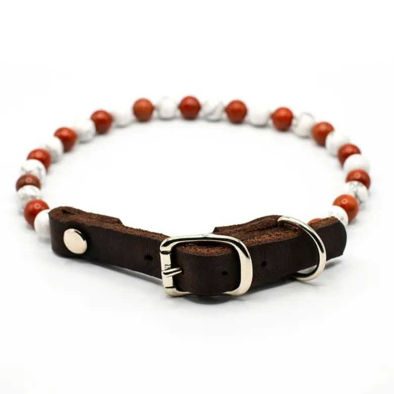 Collier stabilité – pour chien agité - m