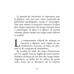 Comme un vol d’étourneaux
