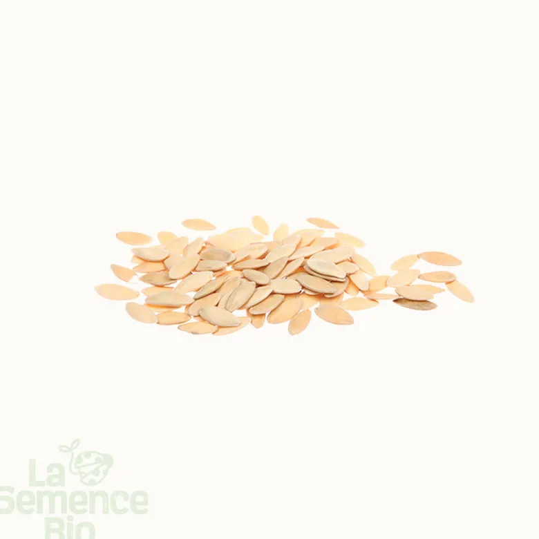 Concombre tanja bio