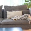 Coudre un coussin- kit débutant