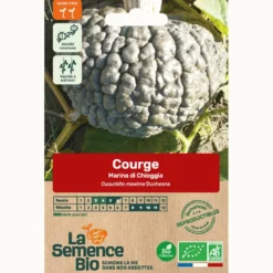 Courge marina di chioggia bio