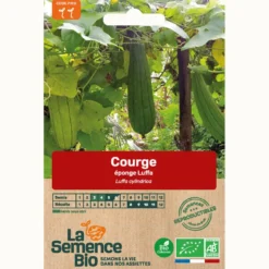 Courge éponge luffa bio