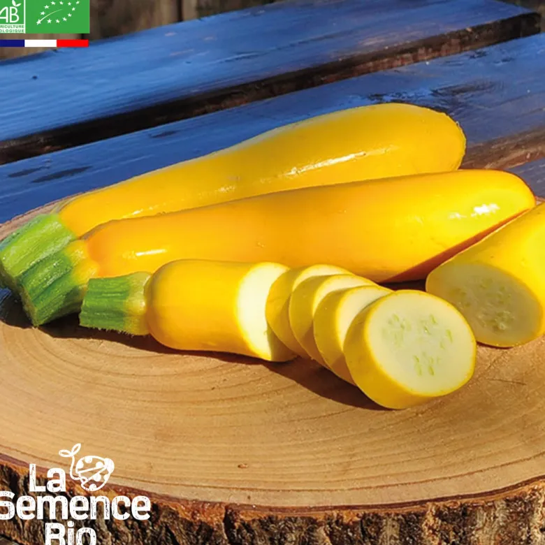 Courgette gold rush bio
