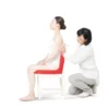 Coussin ergonomique pinto standard-mgris