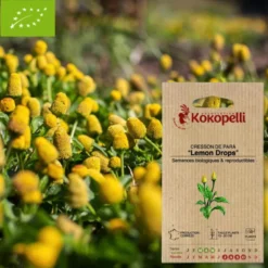 Cresson de pará lemon drops- graines bio à semer