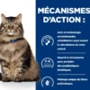 Croquettes chat adult prescription diets gastrointestinal biome - hill's