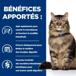 Croquettes chat adult prescription diets gastrointestinal biome - hill's