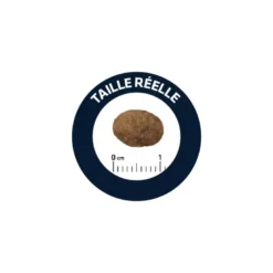 Croquettes chat adult sensitive saumon riz - advance