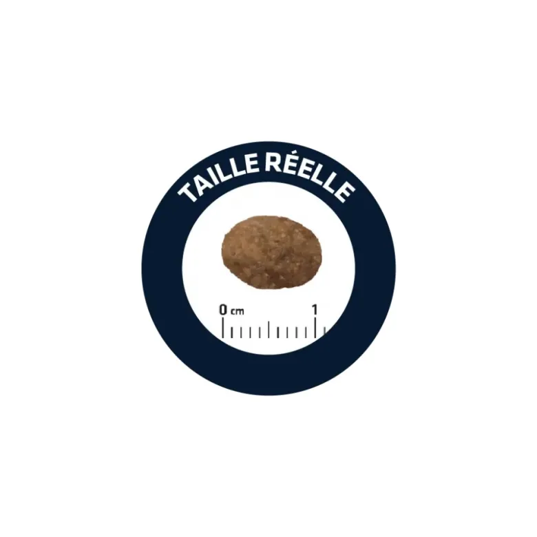 Croquettes chat adult sensitive saumon riz - advance