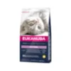 Croquettes chaton - eukanuba kitten healthy start