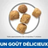 Croquettes chat science plan sterilised young adult poulet - hill's