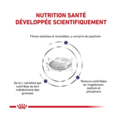 Croquettes chat veterinary cat neutered satiety balance - royal canin
