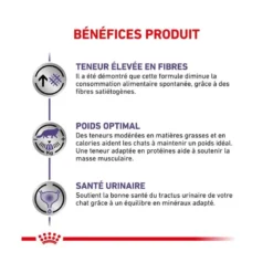 Croquettes chat veterinary cat neutered satiety balance - royal canin