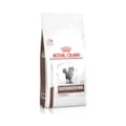 Croquettes chat veterinary cat gastrointestinal hairball - royal canin