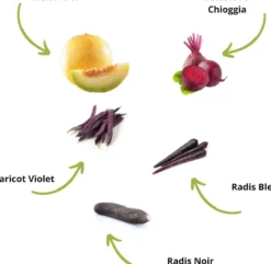 Cultivea - kit de culture légumes insolites bio