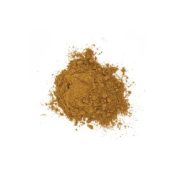 Curcuma latte gingembre bio 60g