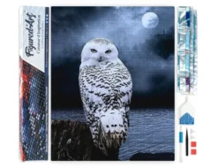 Diamond painting chouette blanche