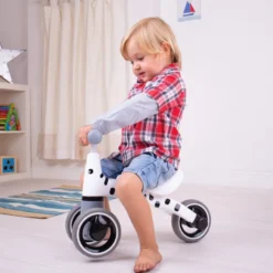 Diditrike, children's trike - zebra