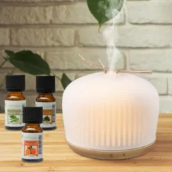 Diffuseur d'arôme origin + 3 huiles noël