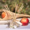 Diffuseur de parfum fleur de pommier