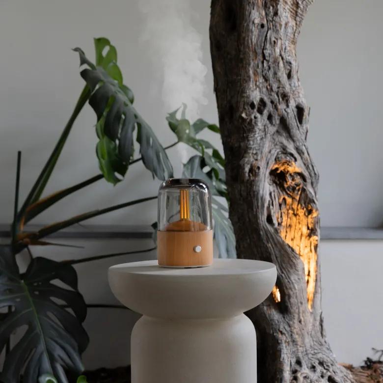 Diffuseur d'huiles essentielles en bois à éclairage doux et variable