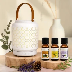 Diffuseur lanterne nomade sans fil madrid + 3 he 100% naturelles