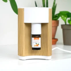 Diffuseur litsea - nébulisateur