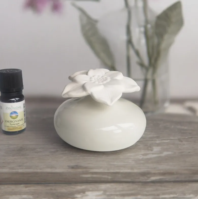 Diffuseur par capilarité narcisse blanc