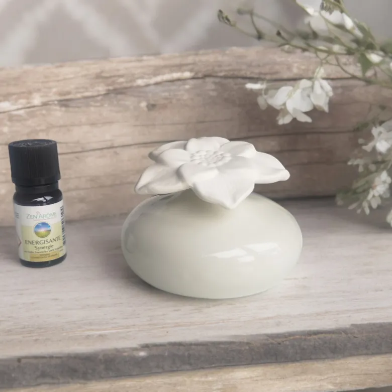 Diffuseur par capilarité narcisse blanc