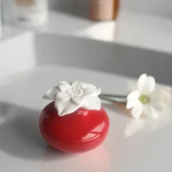 Diffuseur par capilarité narcisse rouge