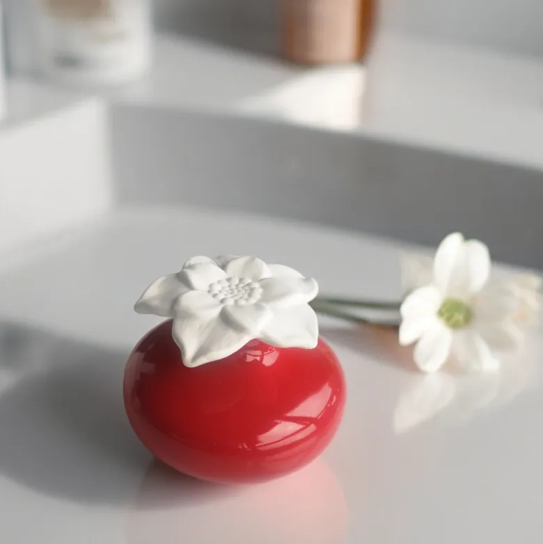 Diffuseur par capilarité narcisse rouge