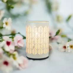Diffuseur par chaleur douce calorya n°9