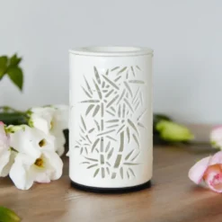 Diffuseur par chaleur douce calorya n°5