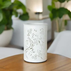 Diffuseur par chaleur douce calorya n° 1