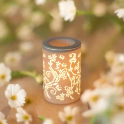 Diffuseur par chaleur douce calorya n° 1
