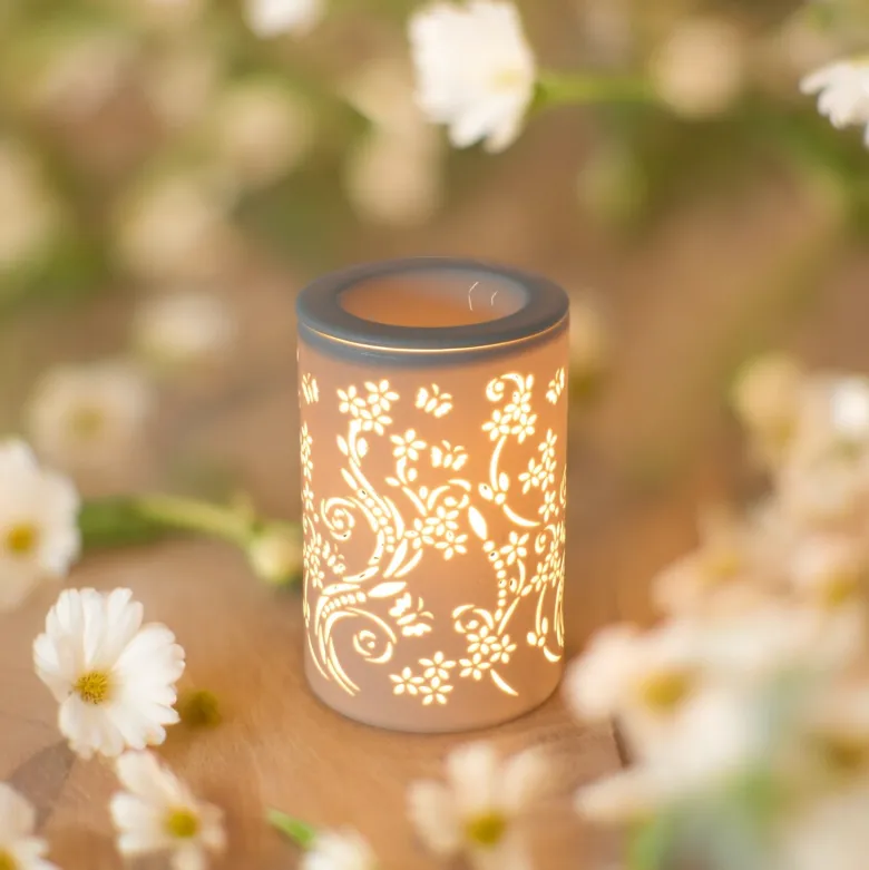Diffuseur par chaleur douce calorya n° 1