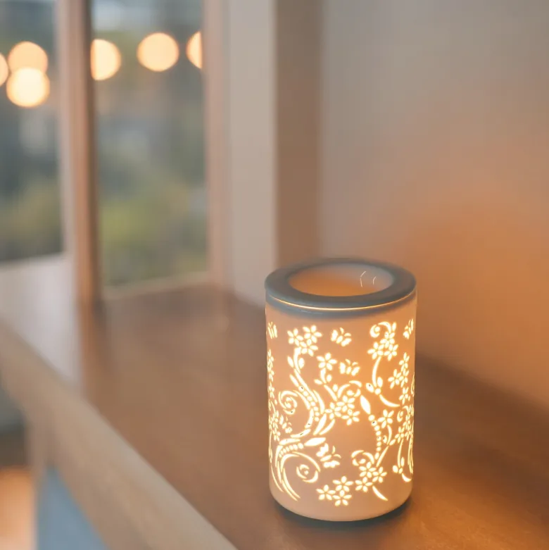 Diffuseur par chaleur douce calorya n° 1